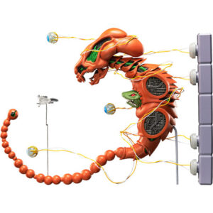 PRE-ORDER figma Dobkeratops (Aug. 2026) PO end (jan-12-2026)