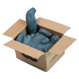 PRE-ORDER Box cat Gray (Jan-16-2026)