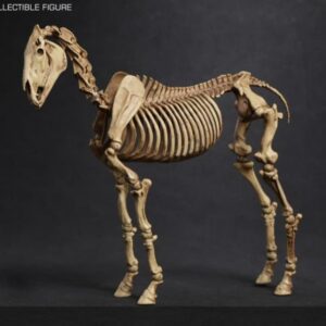 PRE-ORDER 1/12 Skeleton Movable Horse (Q4 2026) PO end (Jan-16-2026)