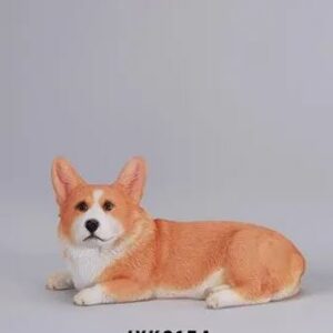 PRE-ORDER Lazy Corgi Orange (Q4 2026) PO end (Feb-2-2026)