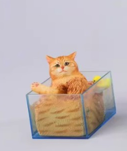 PRE-ORDER Bubble Bath cat Orange (Q3 2026) PO end (Apr-8-2026)