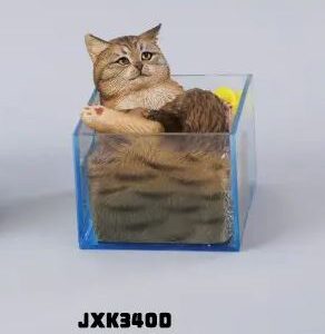 PRE-ORDER Bubble Bath cat Brown tabby (Q3 2026) PO end (Apr-8-2026)