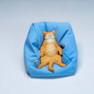 PRE-ORDER Lazy Cat on the Sofa Orange (Q1 2027) PO end (Mar-30-2026)