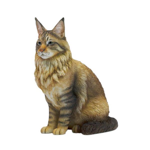 PRE-ORDER Maine Coon Brown (Q2 2026) PO end (Jun-3-2026)