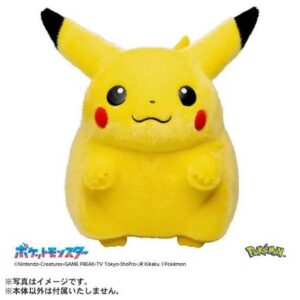 PRE-ORDER CASE OF 6 - 1/1 WELCOME BACK PIKACHU 30TH (May. 2027) PO end (SEP-18-2026)